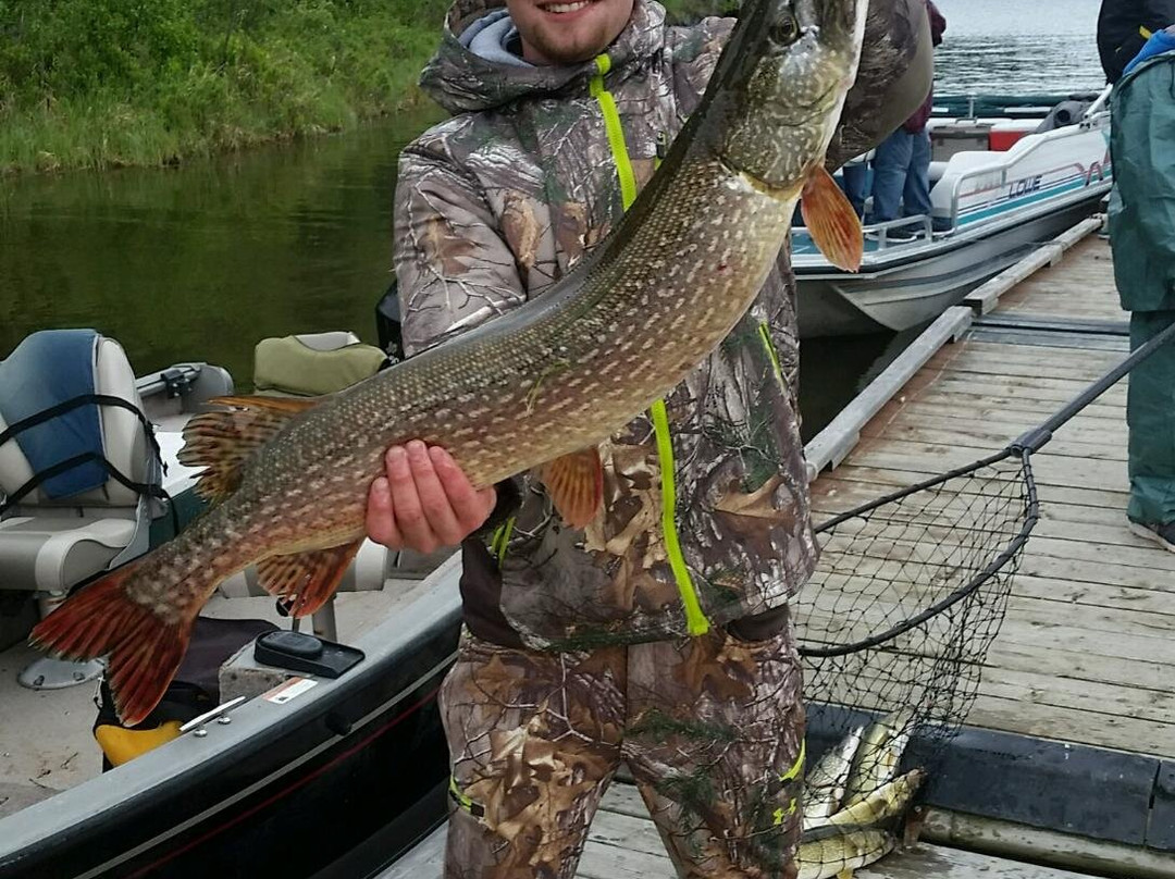 Angells Marina Motel Suites Cabins and Outfitters主图