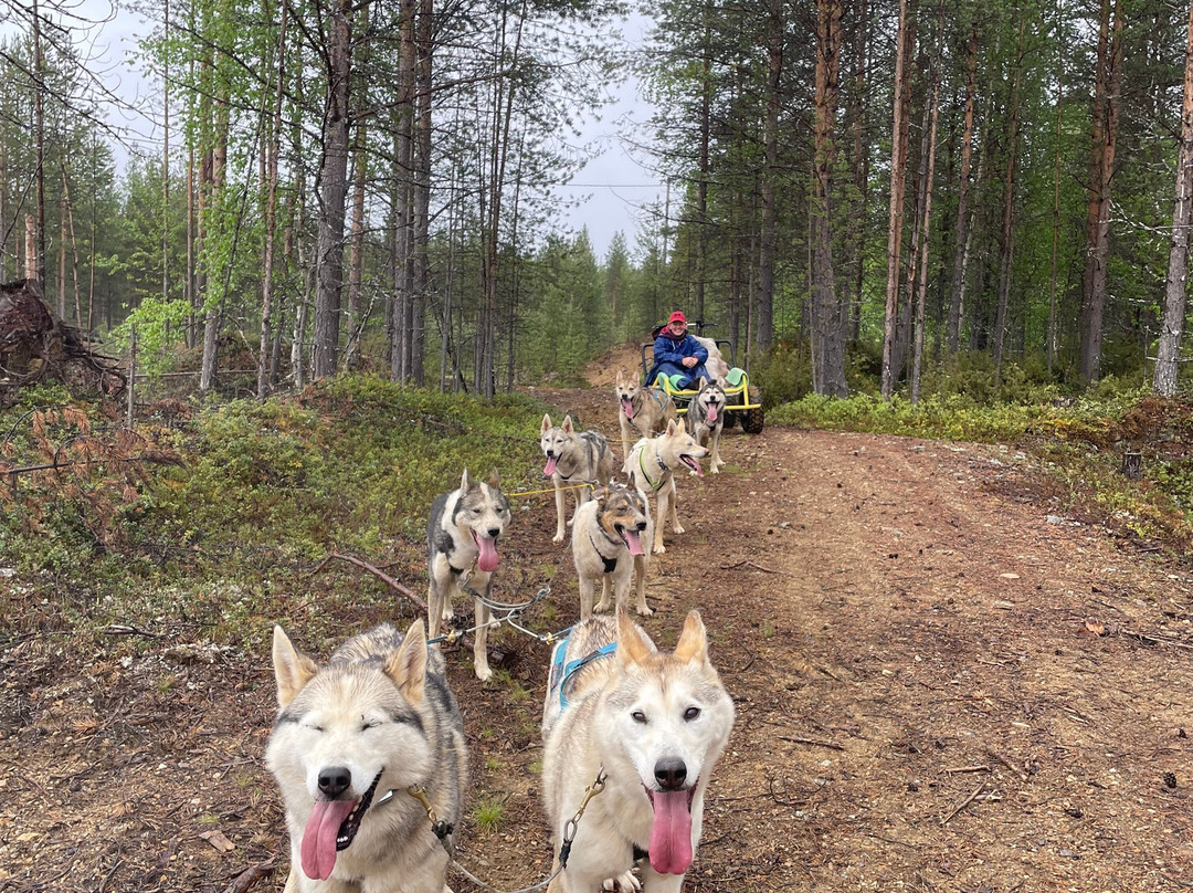 Happy Huskies景点图片