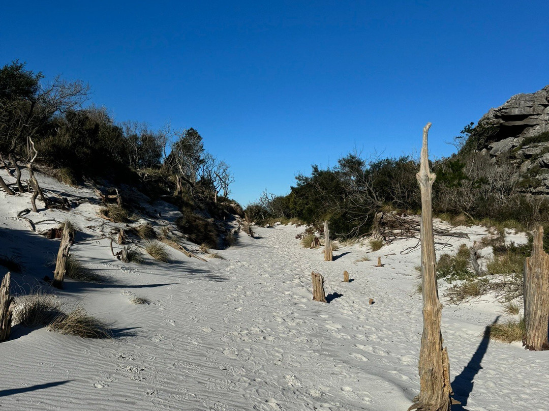Cape Trekking-桌山国家公园必去景点