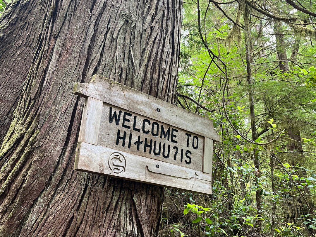 Tofino Sea Kayaking Day Tours景点图片
