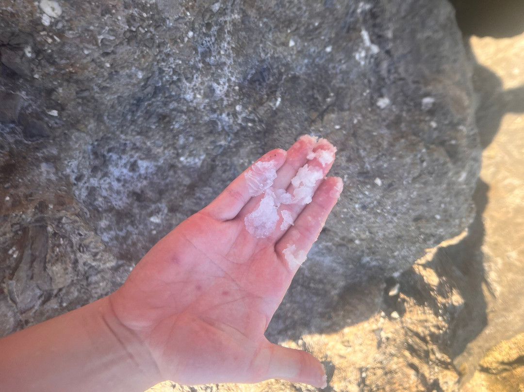 Sougia Beach-Sougia必去景点