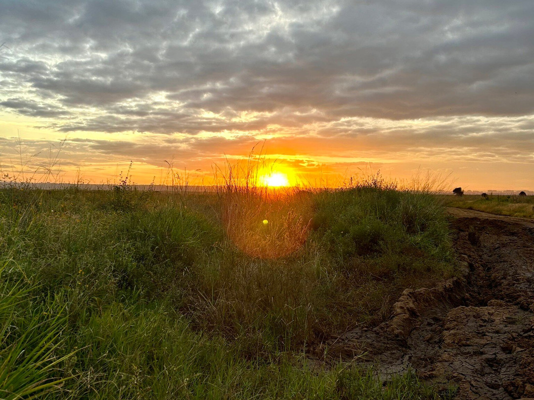 Live in Love Kenya tours and travel-Langata必去景点