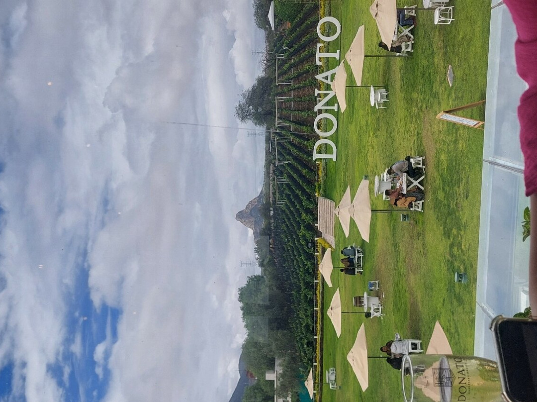 Vinedos Donato-克雷塔罗必去景点