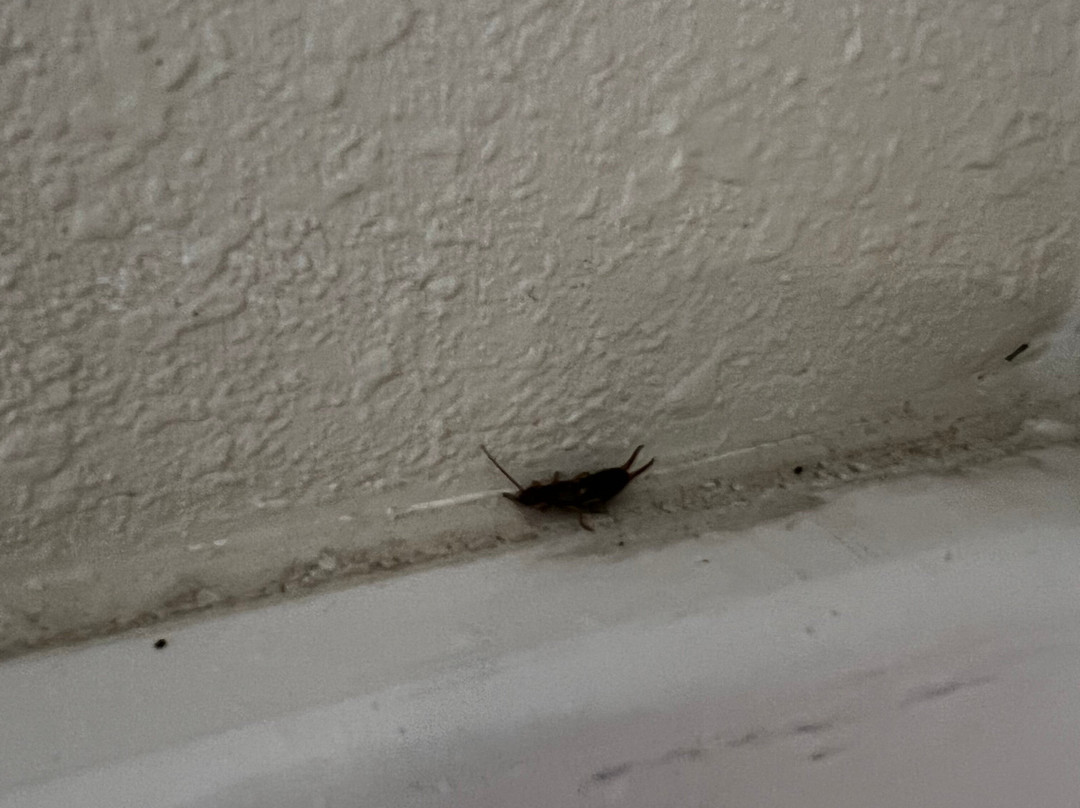 Baymont by Wyndham Waterloo主图