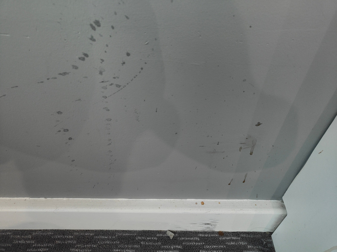 快捷假日伦敦斯坦斯特德酒店主图