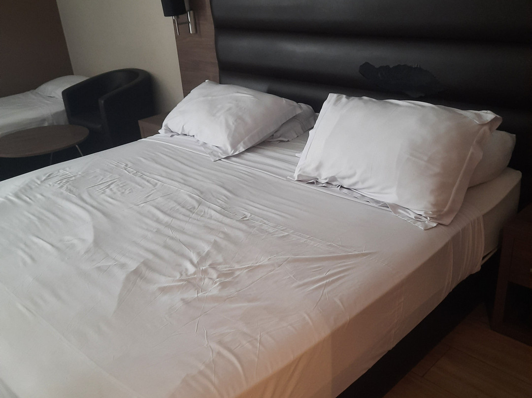 Le Zenith Hotel Oran主图