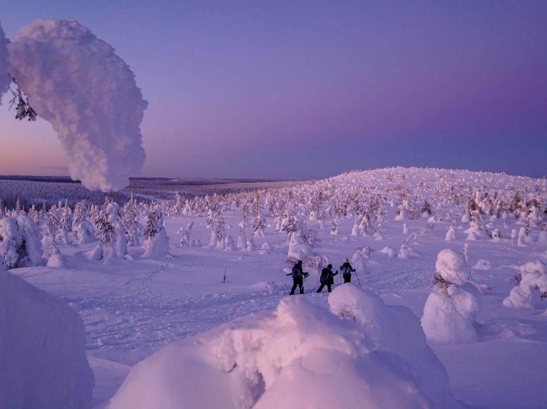 Privarctic-罗瓦涅米必去景点