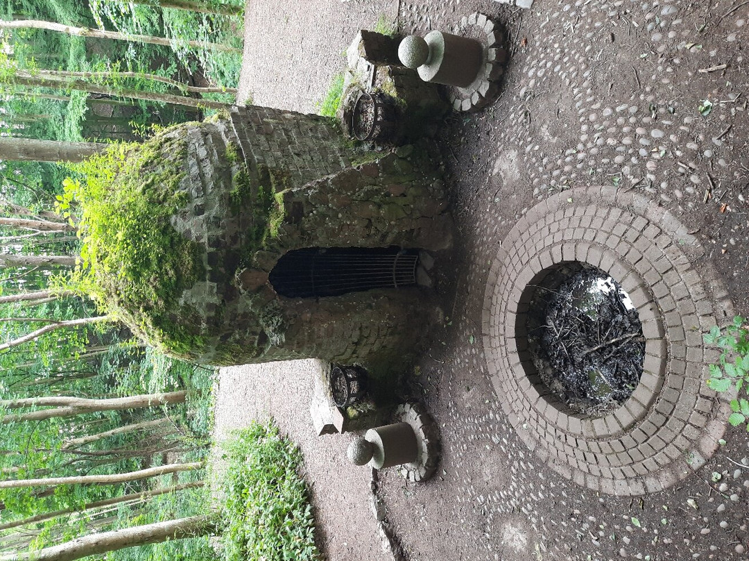 Dunnottar Woods-斯通黑文必去景点