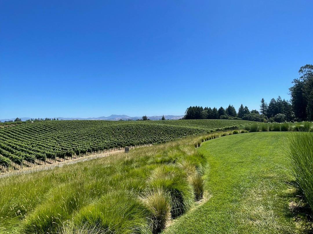 Paul Hobbs Winery景点图片