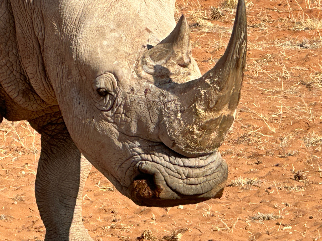 Dusty Foot Tours Namibia-温德和克必去景点
