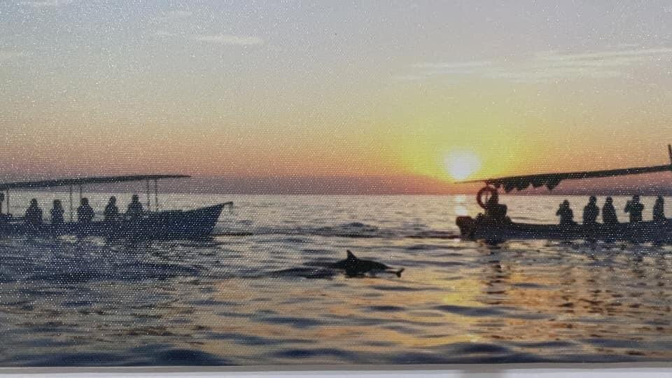 Mang Nono Dolphin Tour-新加拉惹必去景点