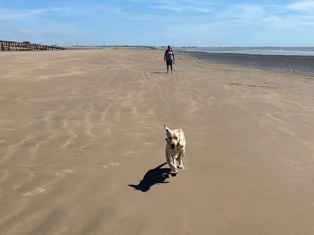 Winchelsea Beach景点图片