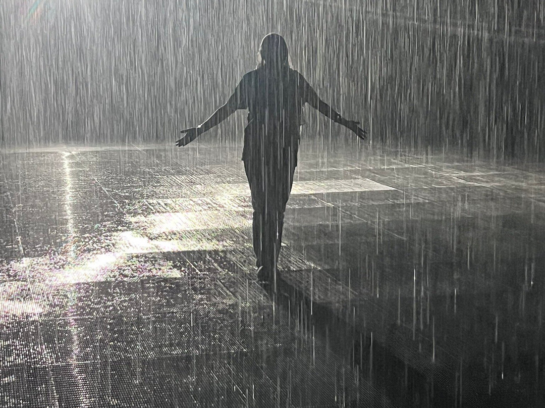 Rain Room-沙迦必去景点