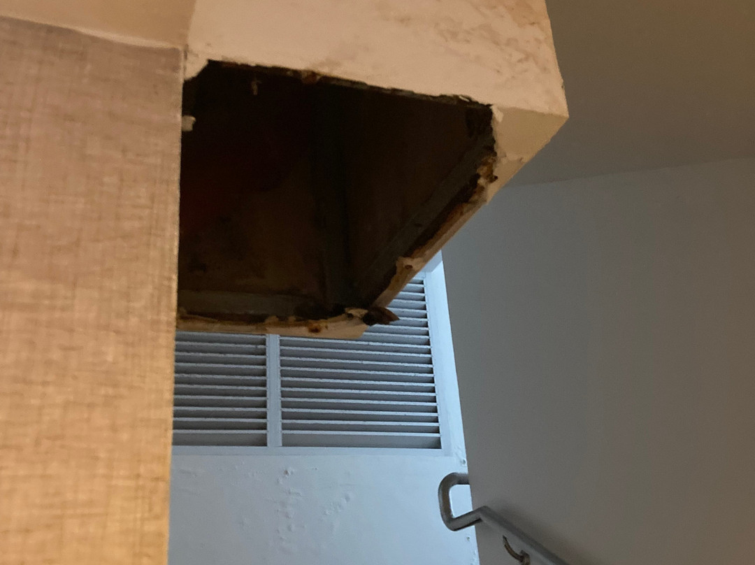 水晶宫酒店主图