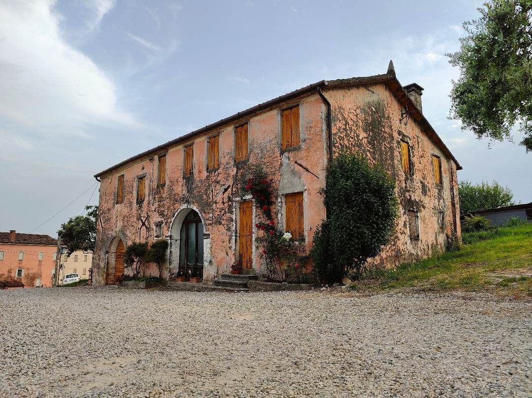 Azienda Agricola Mani Sagge景点图片