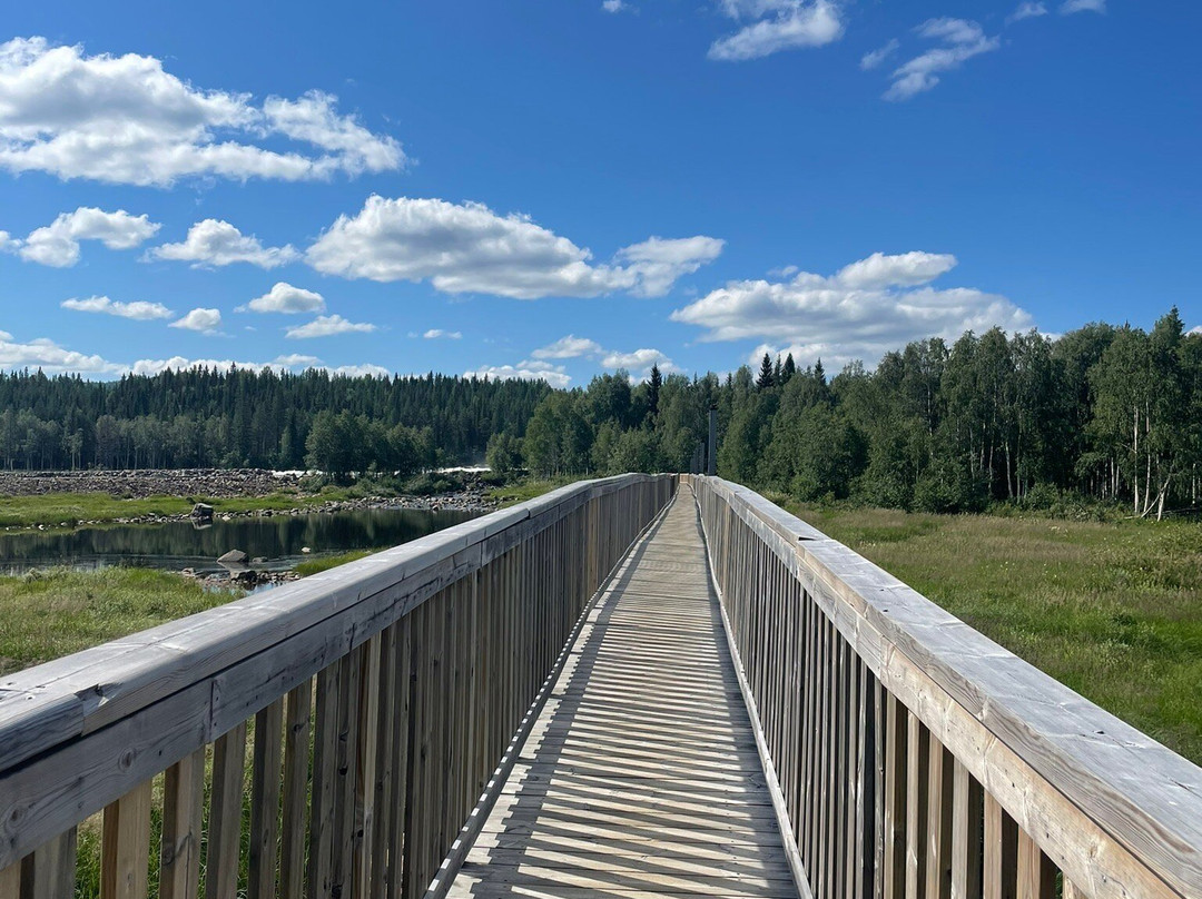 Storforsen-Vidsel必去景点