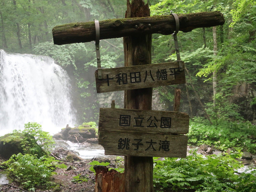 Choshi Otaki Waterfall景点图片
