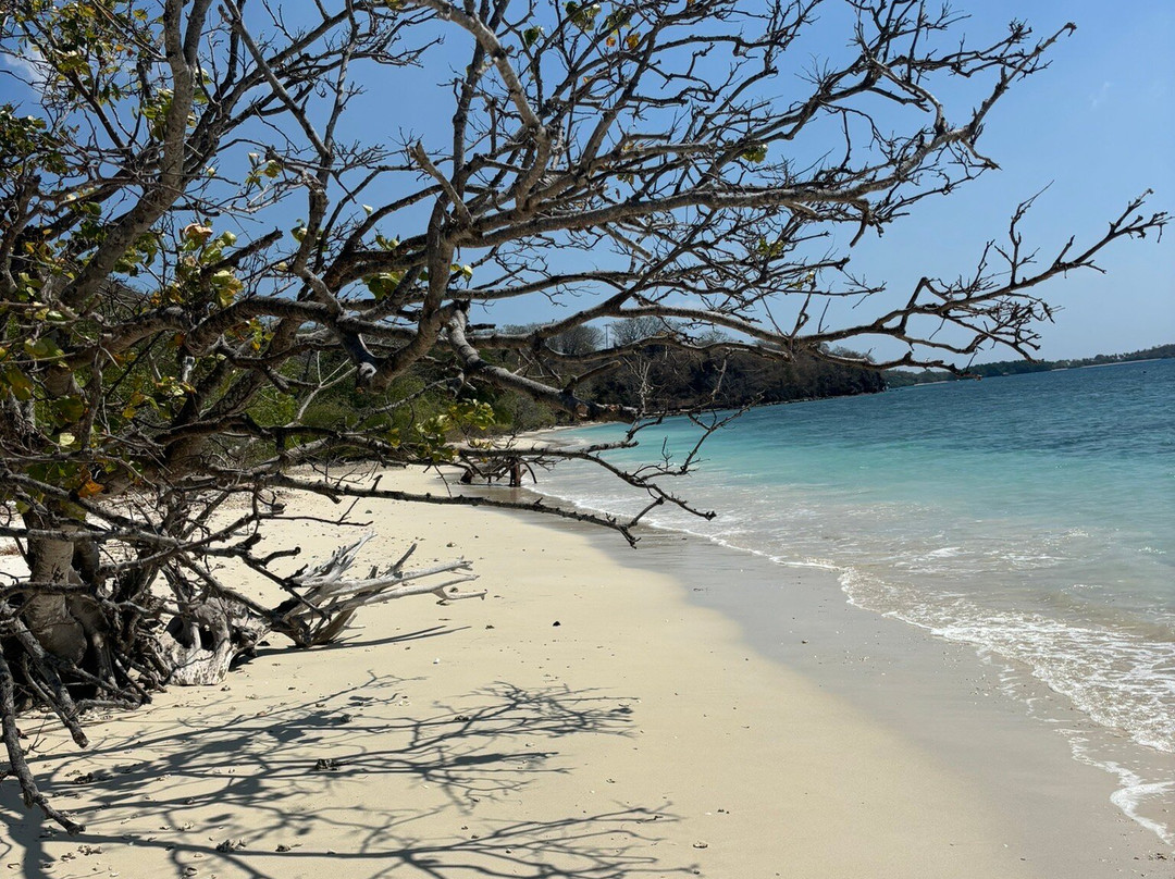 The High Dive Gili Gede主图