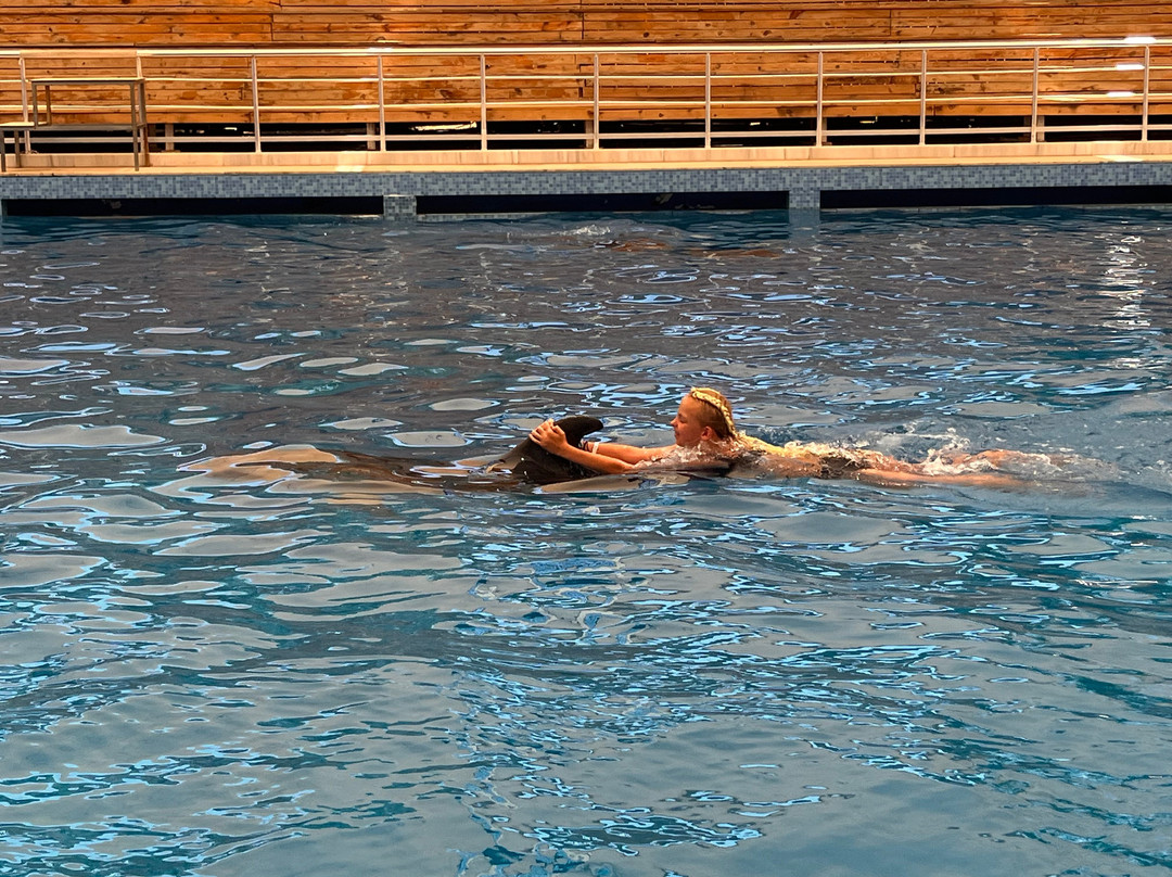 Aksu Dolphinarium景点图片