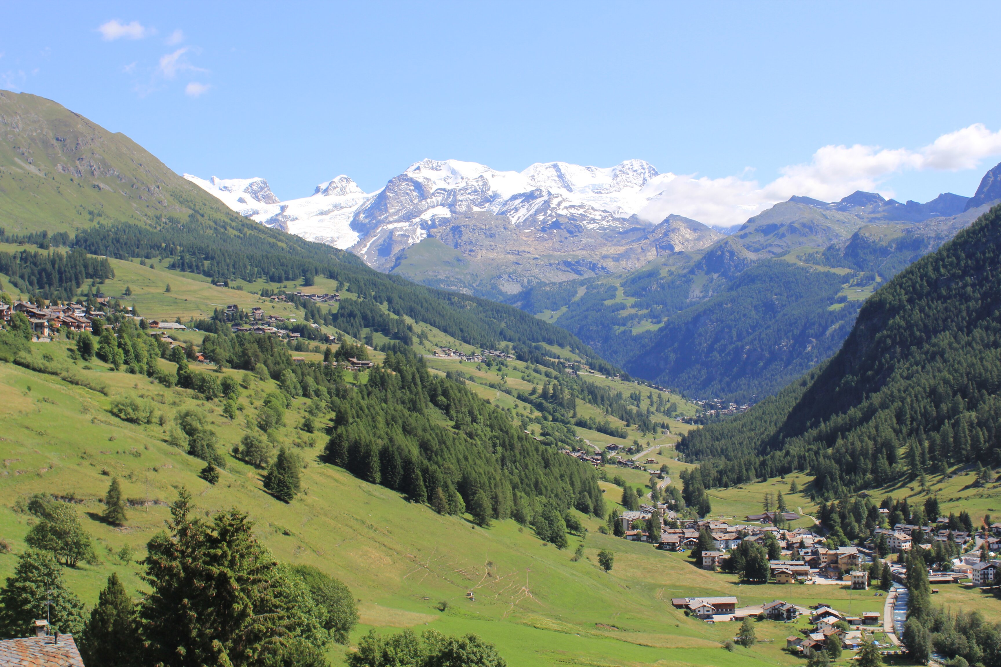 Hotel Alpe Fleurie-酒店景观