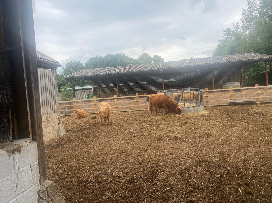 Standalone Farm景点图片