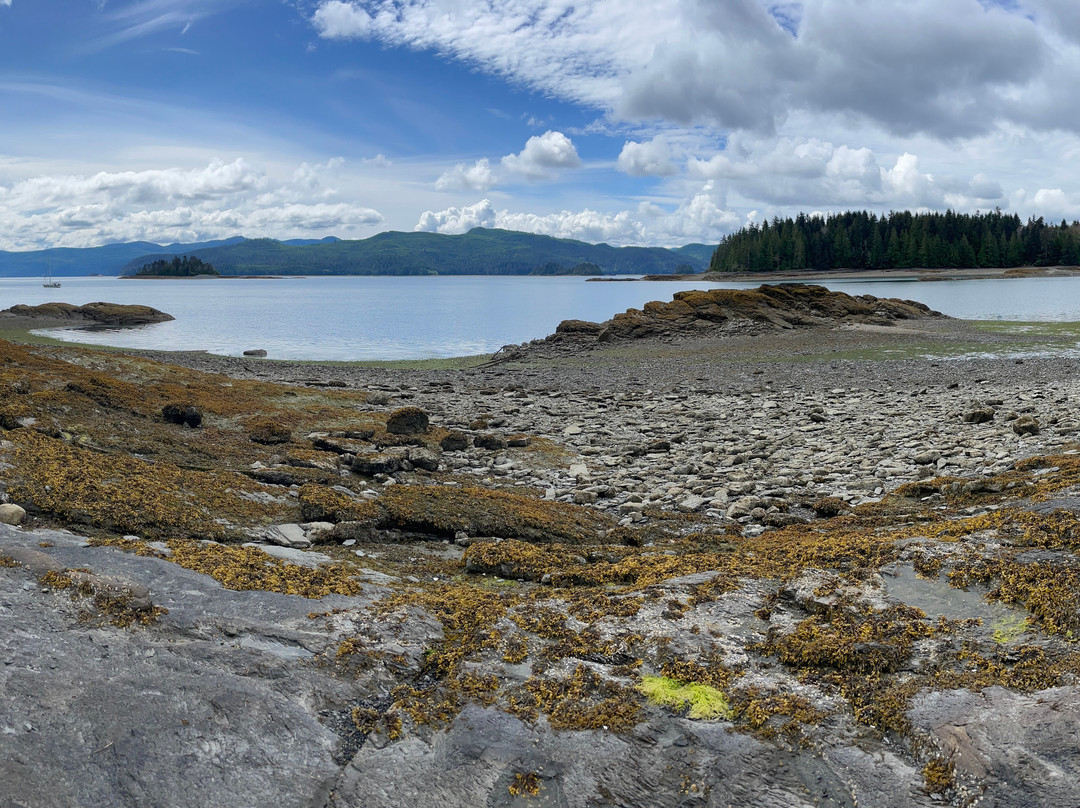 Gracie's Place主图