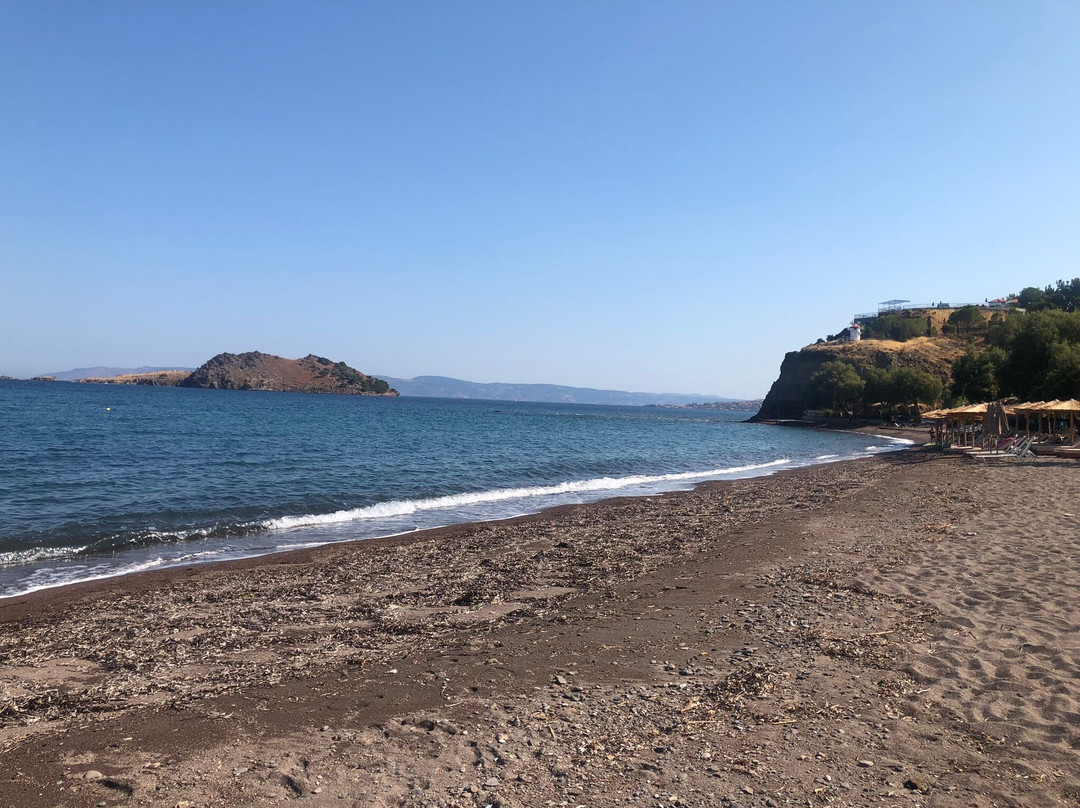 Anaxos Beach景点图片