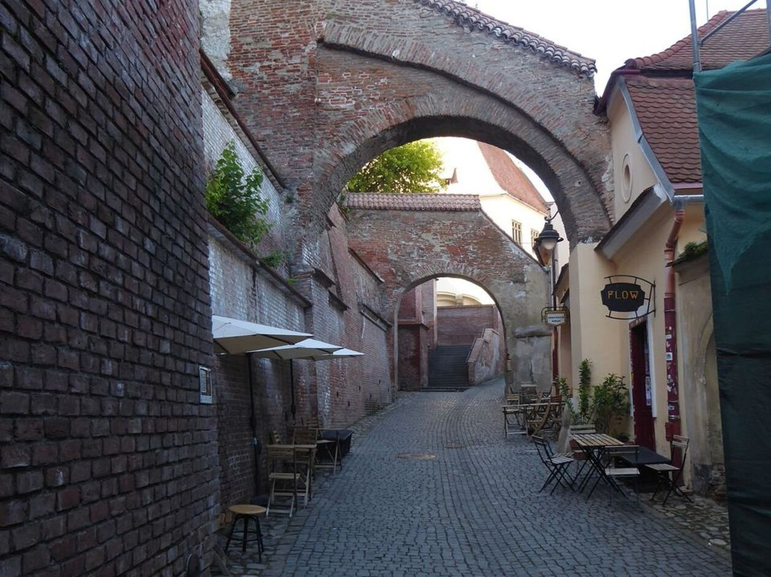The Lower Town of Sibiu (Orasul de Jos)景点图片