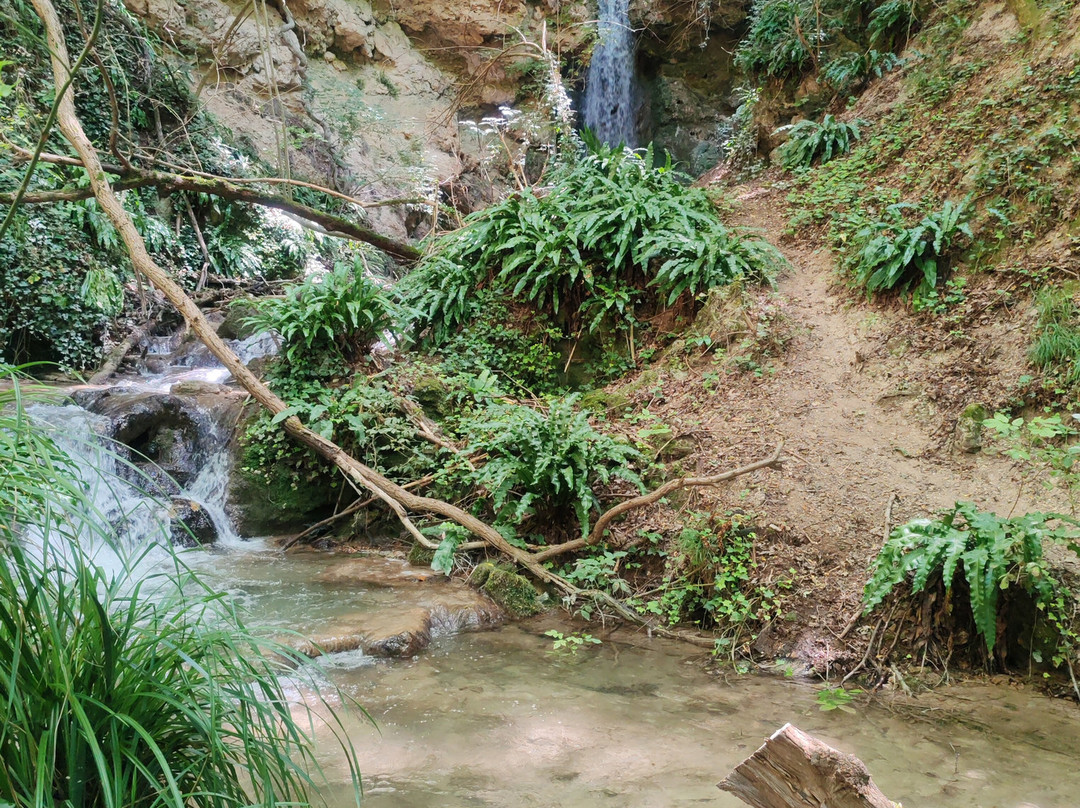 Cascate Le Ferce景点图片