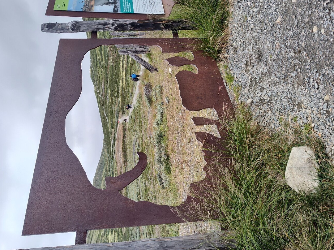 Viewpoint Snøhetta Visitor Centre Wild Reindeer景点图片