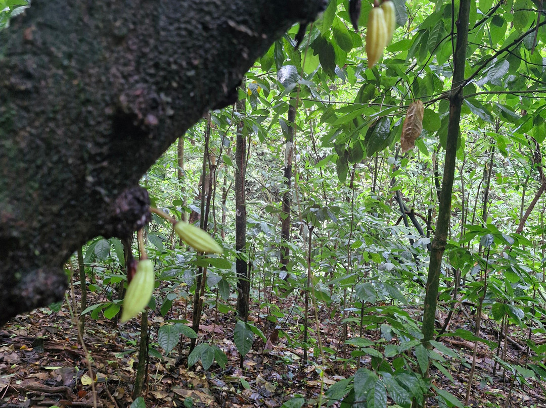 Cascade Couleuvre-Le Precheur必去景点