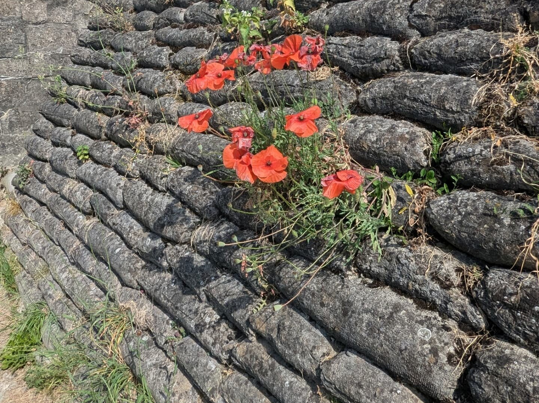 Trench Of Death景点图片