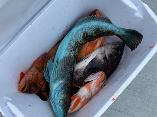 Dockside Charters-Depoe Bay必去景点