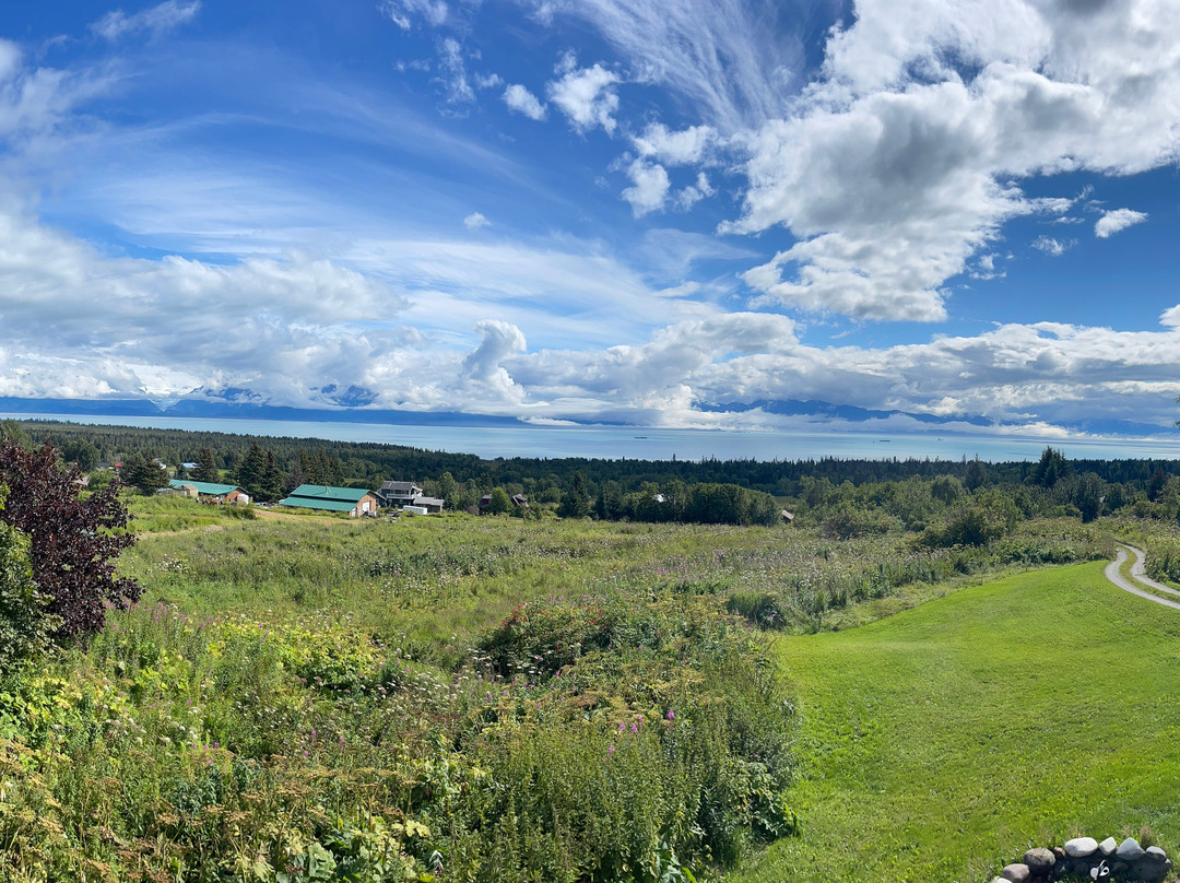 Good Karma Inn主图