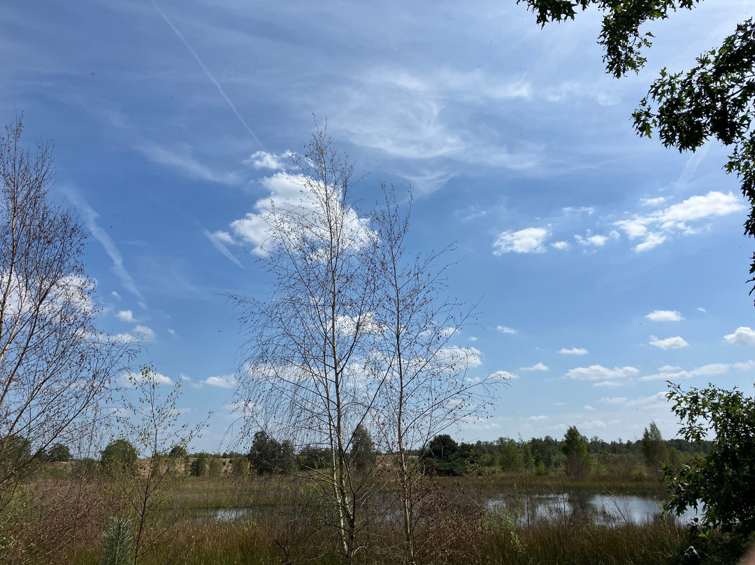 Langoed De Hamert, Wellerlooi-Wellerlooi必去景点