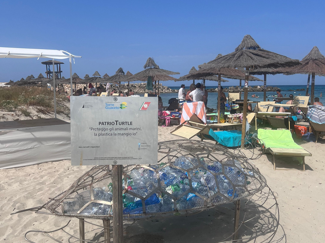 Spiaggia Torre Guaceto景点图片
