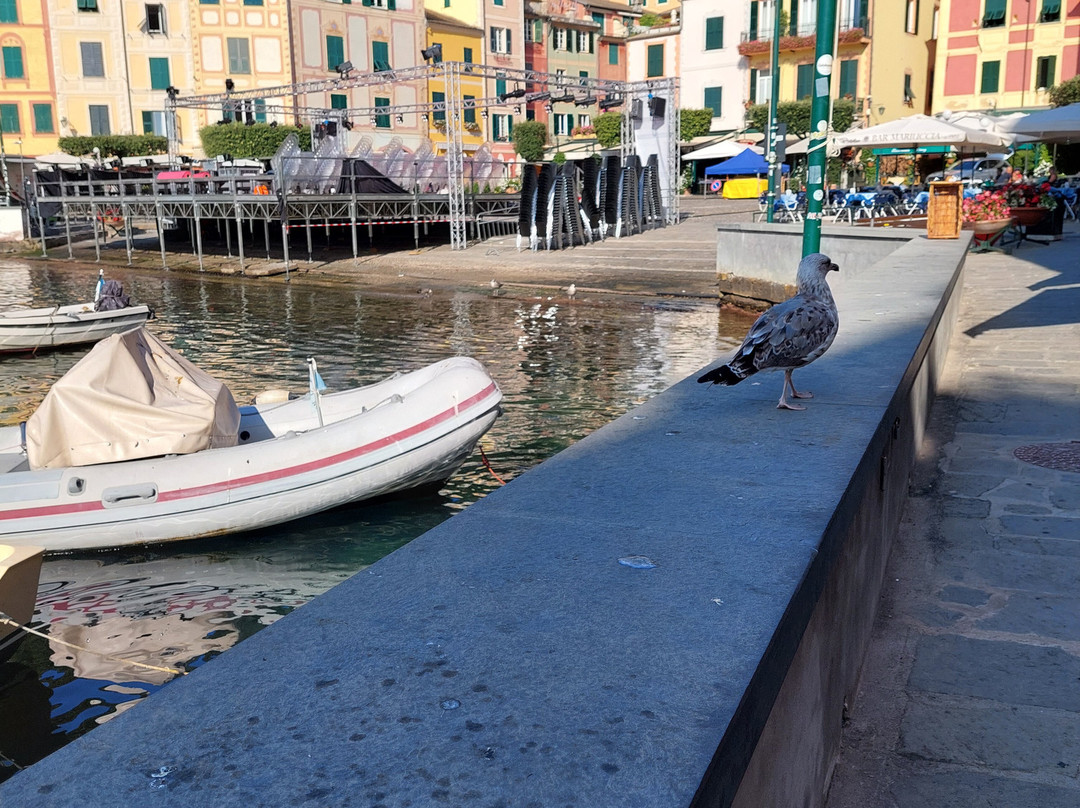 艾尔伯格那锡那里酒店主图