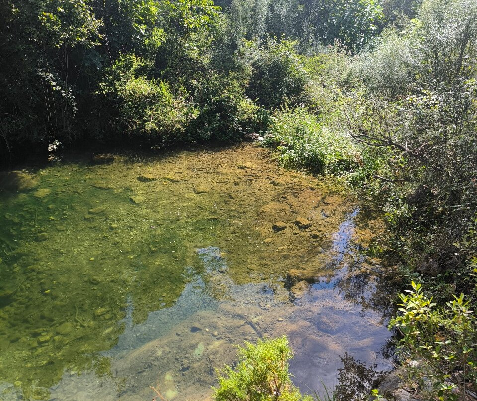 Niu de l'Aliga景点图片