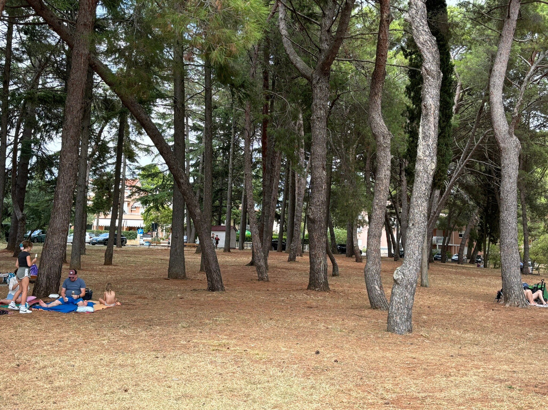 Karpinjan Beach-诺维格拉德必去景点