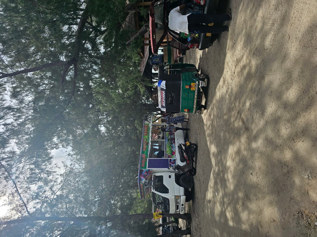 Casuarina Beach-贾夫纳必去景点