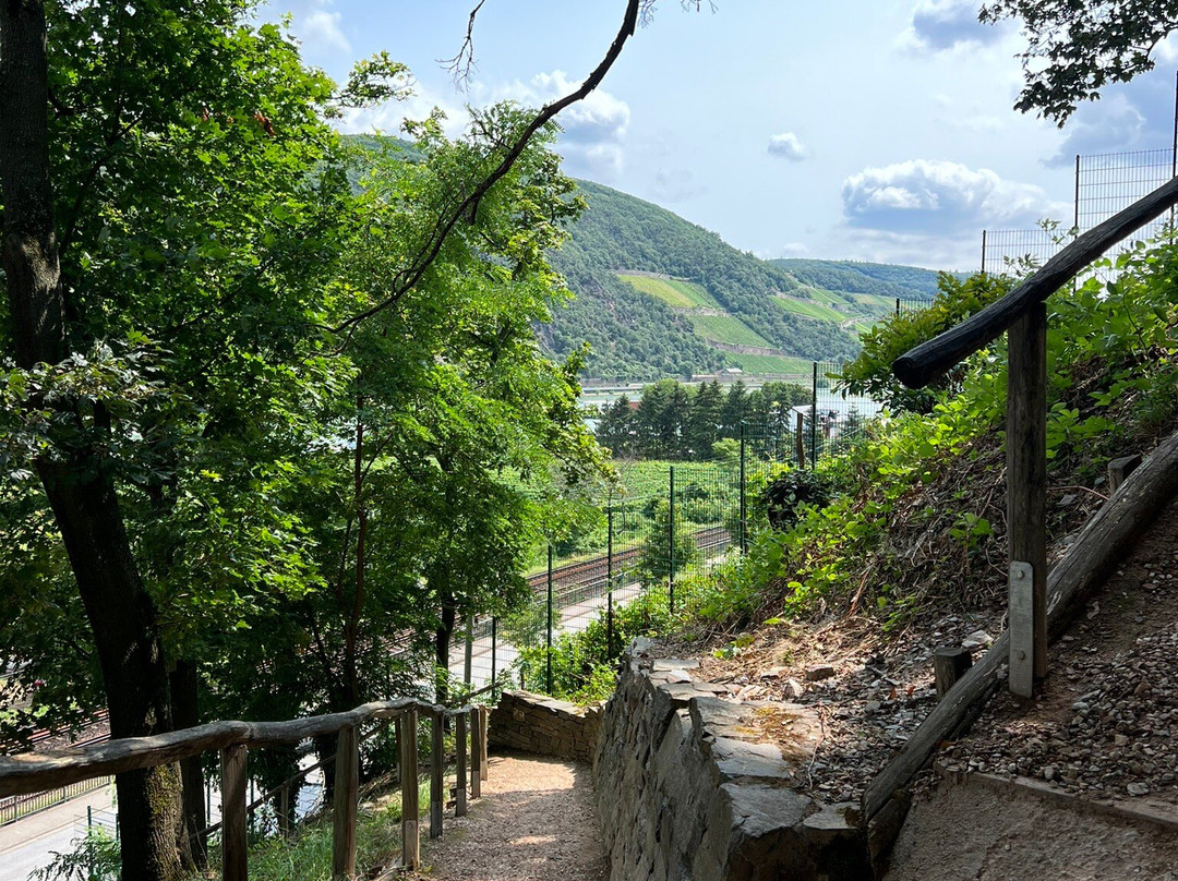 Reichenstein Castle景点图片