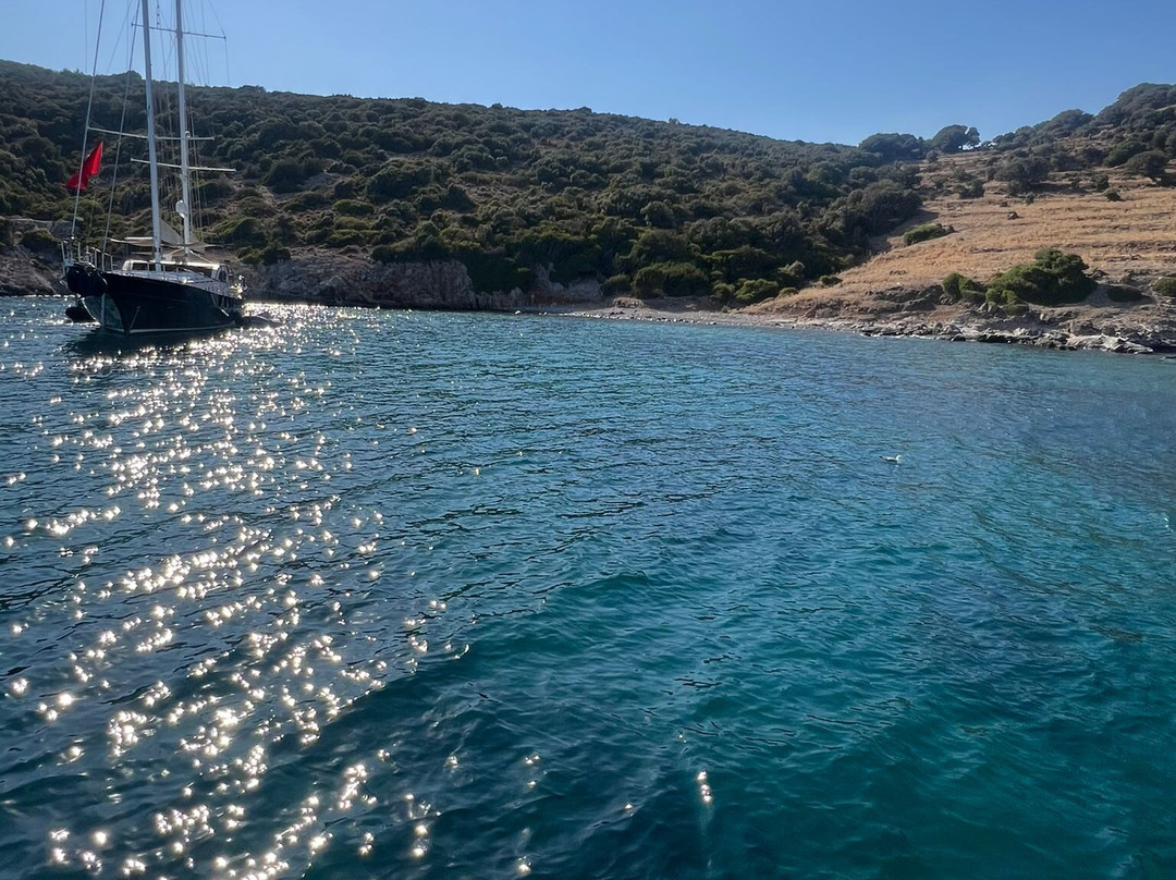 Akbaba Deniz Boat景点图片