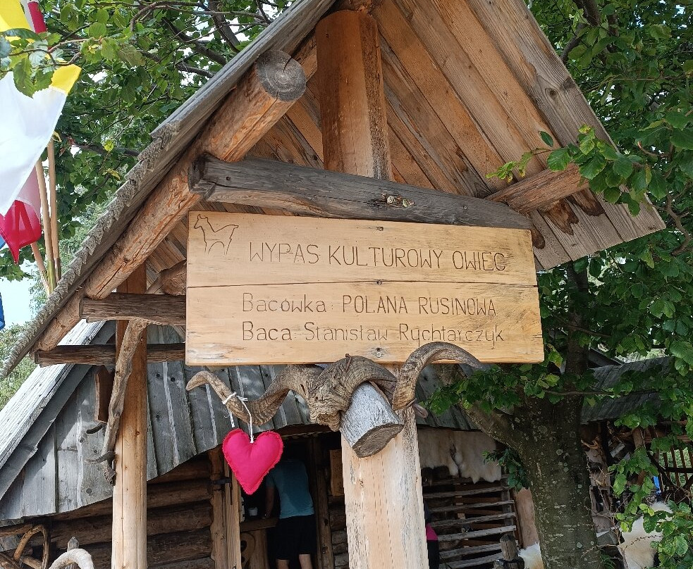 Rusinowa Polana景点图片
