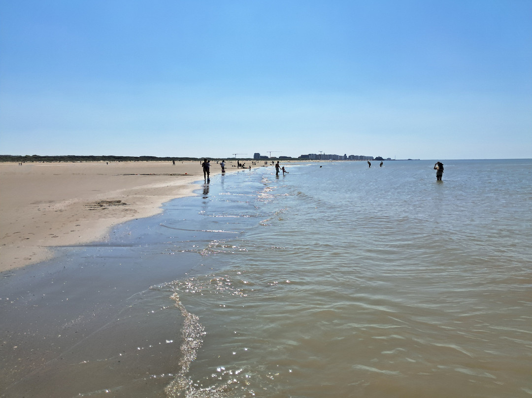 Strand Zeebrugge-泽布鲁日必去景点