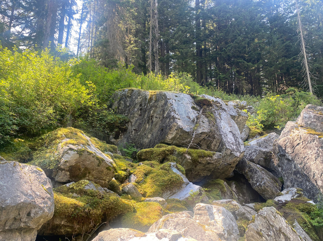 Rock Garden Trail景点图片