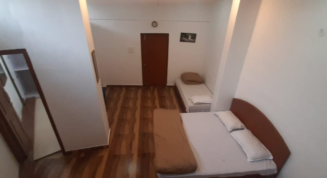 Experto The Greens主图