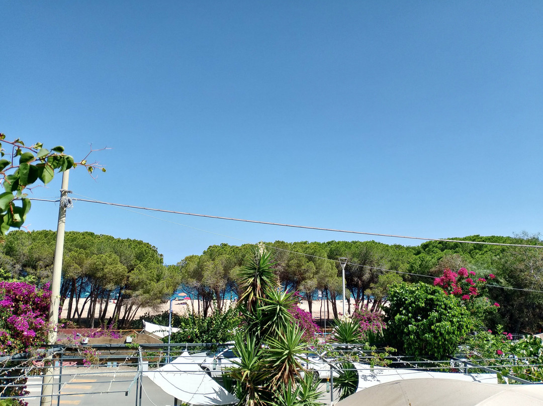 多莫斯德贾纳斯苏马雷酒店主图