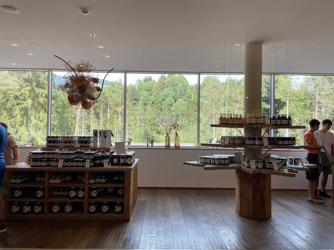 Alpe Pragas Srl-Braies必去景点