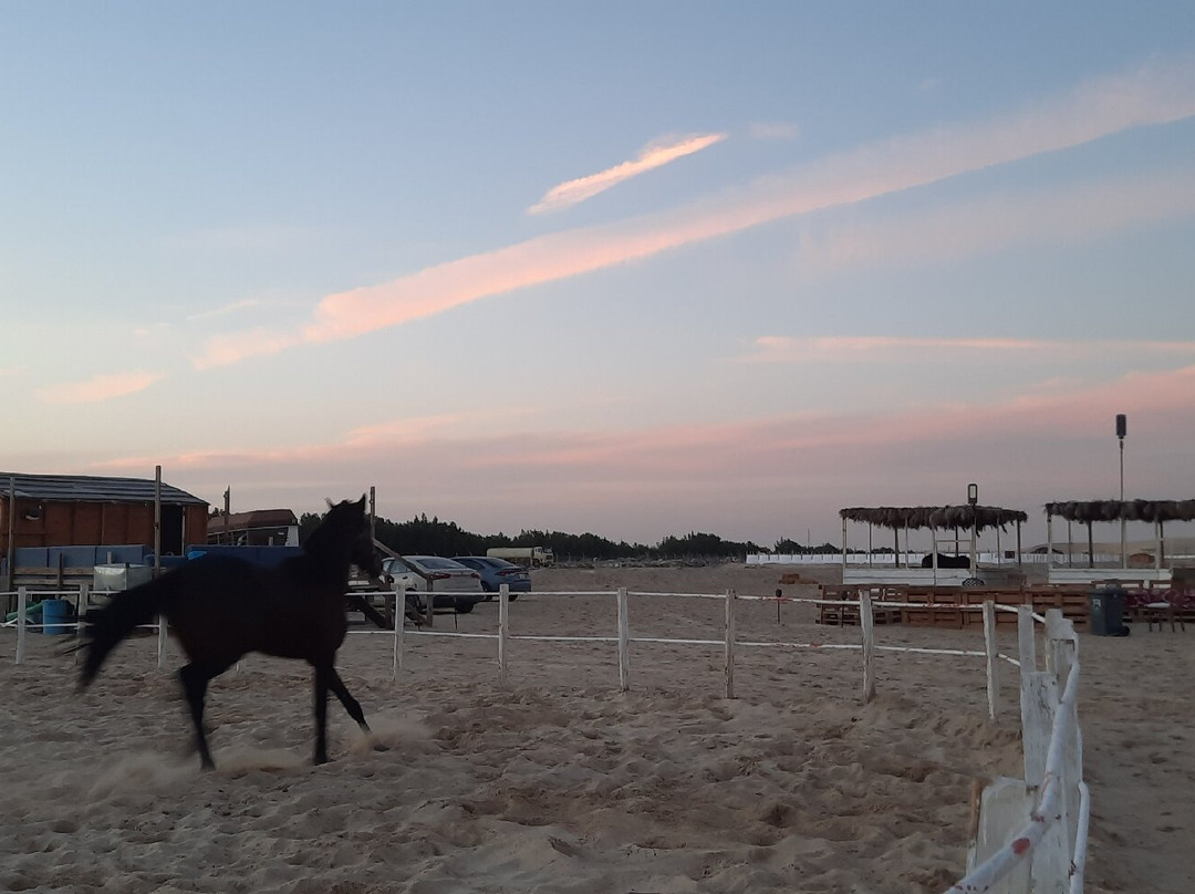 Adventure Khobar-胡拜尔必去景点