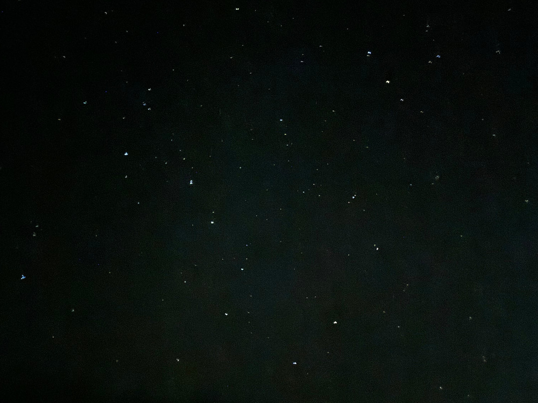 Missphitty景点图片